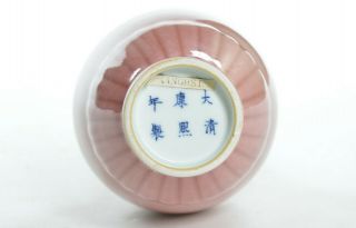 A Rare Chinese Peachbloom - Glaze Porcelain Vase 3