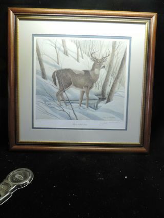 Vintage John A Ruthven 20 " X20 Framed White Tailed Deer