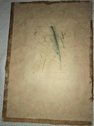 Vintage Signed SALVADOR DALI ENGRAVING numbered lithograph etching 2