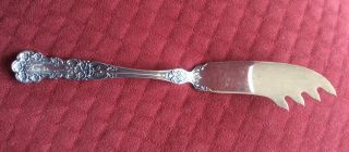 Buttercup By Gorham Sterling Silver Cheese Pate Knife Server