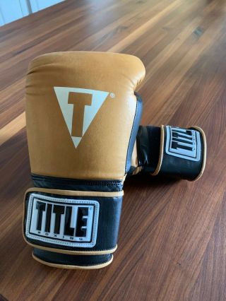 Title Vintage Leather Training Glove