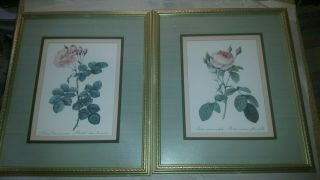 Two Vintage Triple Framed Prints Of A Rose Artist Unknown