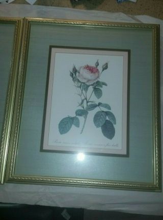 TWO Vintage TRIPLE Framed Prints of a ROSE artist unknown 2
