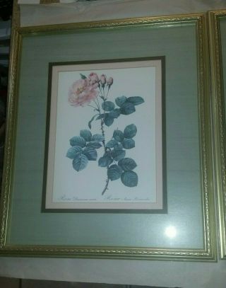 TWO Vintage TRIPLE Framed Prints of a ROSE artist unknown 3