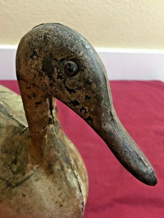 RARE ANTIQUE VINTAGE 1920 ' s Anderson Metal Tin Duck Decoy - 6