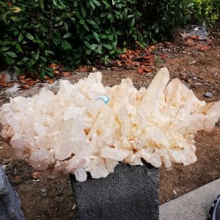 12.  93kg Rare Natural White Quartz Cluster Crystal Specimen Healing