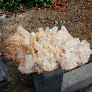 12.  93KG Rare Natural White Quartz Cluster Crystal Specimen Healing 6