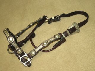 Vintage Simco Shaped Leather Rope Edge Silver Western Show Halter -