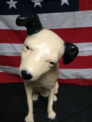Vintage RCA Victor Nipper Dog 15 Inches Tall. 6