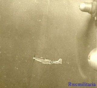 Org.  Photo: Aerial View P - 51 Fighter Plane Flying Escort For B - 17 Bomber