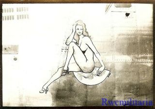 Org.  Nose Art Photo: Us Navy Pb4y Bomber W/ Seated Naked Girl