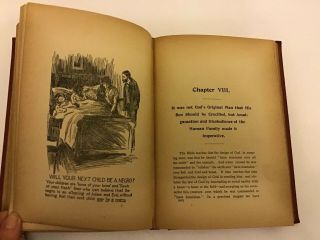 The Negro A Beast,  Or,  In The Image Of God? By Carroll,  Chas.  1900.  1 St Ed.  Rare 5