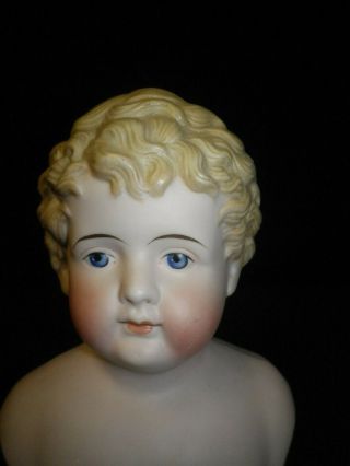6 " Antique German Parian Molded Hair Boy Doll Head