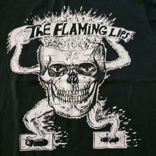 Vintage The Flaming Lips 90s T Shirt Grunge Band Tour Size L Nirvana OG 2