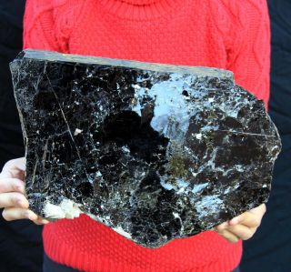 13.  5 " Rare Shining Biotite Crystal (black Mica),  Ontario,  Canada Mica109