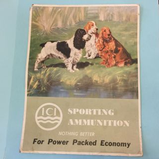 Vintage Ici Sporting Ammunition Promotional Advertising Sign Cocker Spaniel Dogs