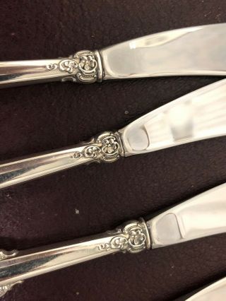 4 Wallace Grande Baroque Butter Spreaders/ Paddles/ Pate Knives 5