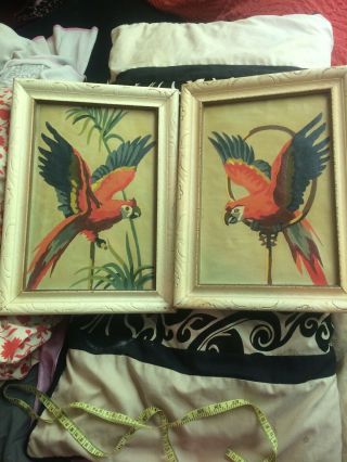 Two Pair Vintage Paint By Number 14x10 Parrot Bird Tropical Orange 1955 Framed