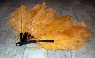 Lg.  Antique Victorian Ostrich Feather Fan,  Peach/apricot Feathers,  Brown Lucite