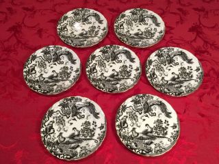 Vintage Set of 7 ROYAL CROWN DERBY Black Aves 8.  5 