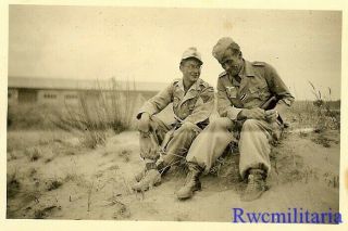 Buddy Pose Pair Luftwaffe Afrika Korps Soldiers Chatting In Desert