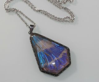 Rare Vintage Signed Thomas L.  Mott Butterfly Wing Pendant On Chain Necklace