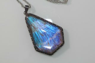 Rare VINTAGE SIGNED THOMAS L.  MOTT Butterfly Wing Pendant on Chain Necklace 5