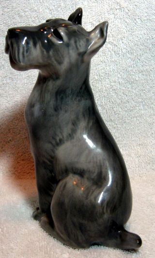 Rare Royal Copenhagen Wire - Haired Or Foxterrier Dog Figurine 2871 C.  1924 - 1934