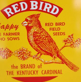 Vintage LEWIS SEED CO Corn Sign with Redbird Louisville Kentucky Cardinal 2