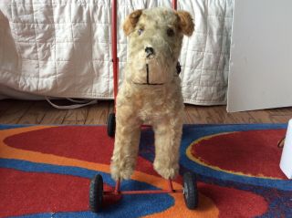 Vintage Wire Haired Fox Terrier Dog On Wheels Made By Aircraft England