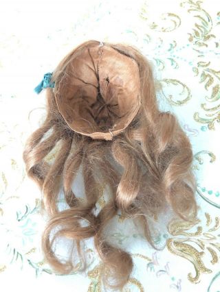 Great Antique Long French Fashion Lady Mohair Doll Wig Sweet Partial Up - do 5