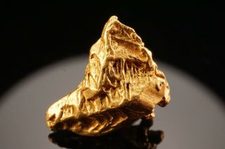 RARE LOCALE Native Gold Crystal NOLAN GOLD MINE,  ALASKA 11
