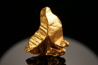 Rare Locale Native Gold Crystal Nolan Gold Mine,  Alaska