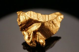 RARE LOCALE Native Gold Crystal NOLAN GOLD MINE,  ALASKA 2