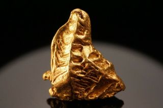RARE LOCALE Native Gold Crystal NOLAN GOLD MINE,  ALASKA 3