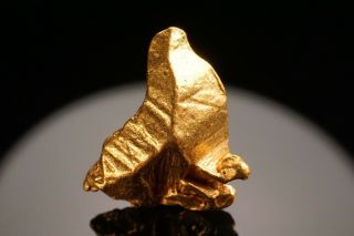 RARE LOCALE Native Gold Crystal NOLAN GOLD MINE,  ALASKA 4