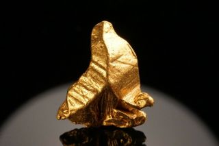 RARE LOCALE Native Gold Crystal NOLAN GOLD MINE,  ALASKA 8