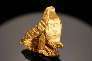 RARE LOCALE Native Gold Crystal NOLAN GOLD MINE,  ALASKA 9