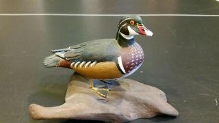 Carved Charles R Berry,  Salisbury,  Maryland " Drake Wood Duck " On Driftwood