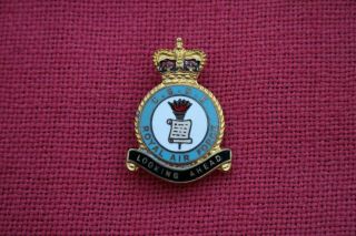 RAF C.  S.  D.  E.  Royal Air Force H.  W.  MILLER B ' HAM.  NO MARKINGS pin badge Sqdr wings 2