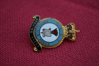 RAF C.  S.  D.  E.  Royal Air Force H.  W.  MILLER B ' HAM.  NO MARKINGS pin badge Sqdr wings 4