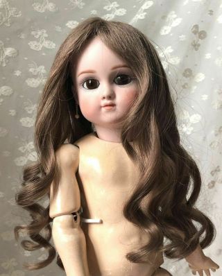 Vtg French Human Hair Doll Wig Brown Long Curly Brunette 10 - 11 " German French