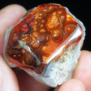 79.  65ct 100 Natural Mexican Multi - Colored Fire Agate Facet Rough Yfmt1440