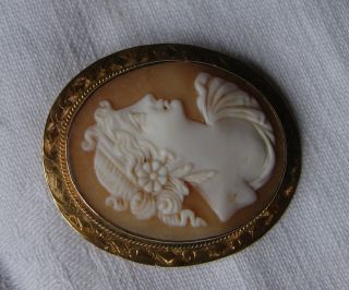 An Antique Victorian Hand Carved Cameo of Classic Goddess in 9ct Gold Brooch 5
