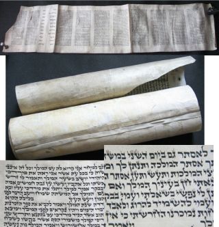 Judaica Poland Megillat Esther Megillah Scroll Parchment Ca1920s Rare