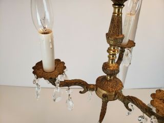 Vintage Miniature Chandelier Antique Brass Crystal Prisms Petite Hanging Light 8