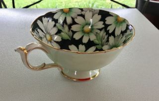 Vtg Paragon Large White Daisy Black green Tea Cup Saucer crest By Appt. 6