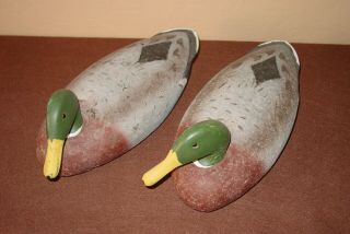 Two L.  L.  Bean Mallard Drake Cork Duck Decoys