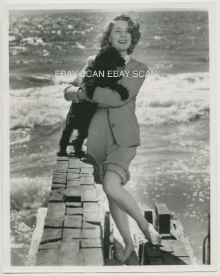 Norma Shearer With Dog At Home On The Beach Vintage Portrait Photo By Carpenter