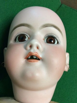 Antique German Handwerck Doll 28 Inch.  14 Dep 8